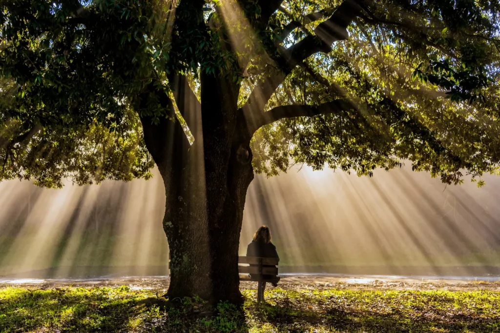 In diesem  Baum Kraft Gedicht erfährst du mehr über die Freundschaft zwischen Mann und Baum auf ihrer Reise durch das Leben.